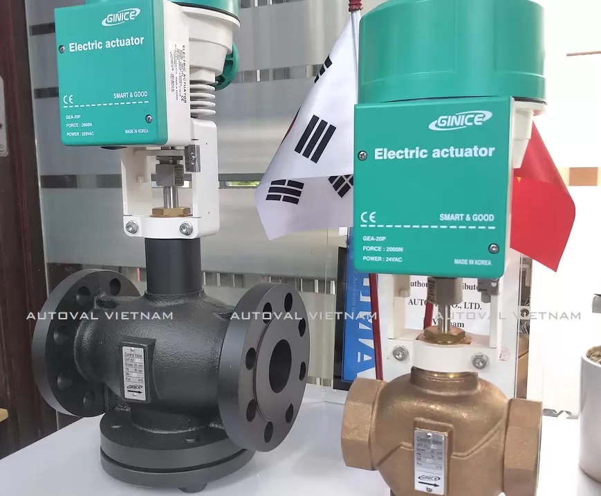 van-dien-ginice-han-quoc