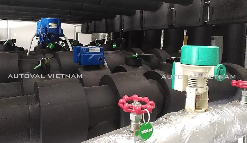 van-dien-ginice-han-quoc