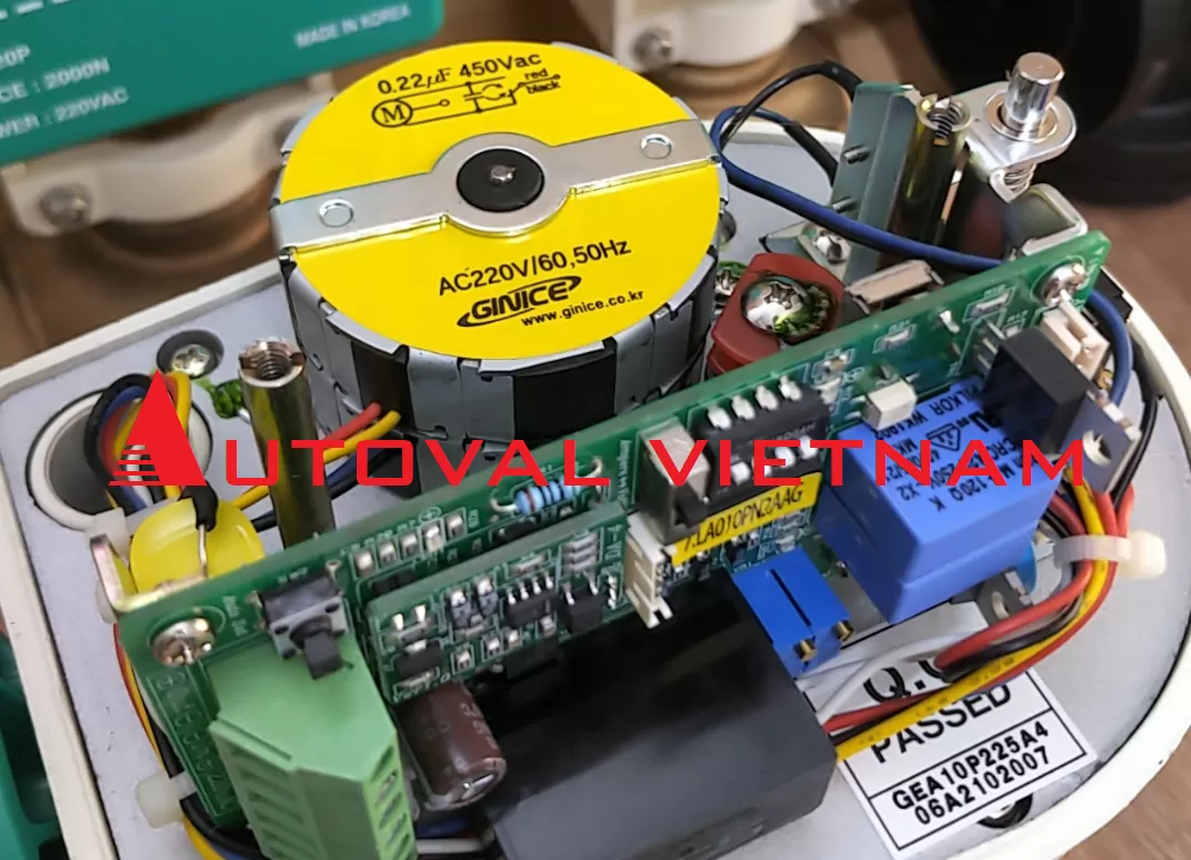 van-dien-ginice-han-quoc