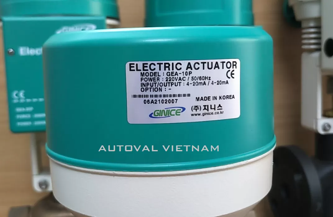 van-dien-ginice-han-quoc