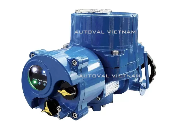 van-dien-ginice-han-quoc