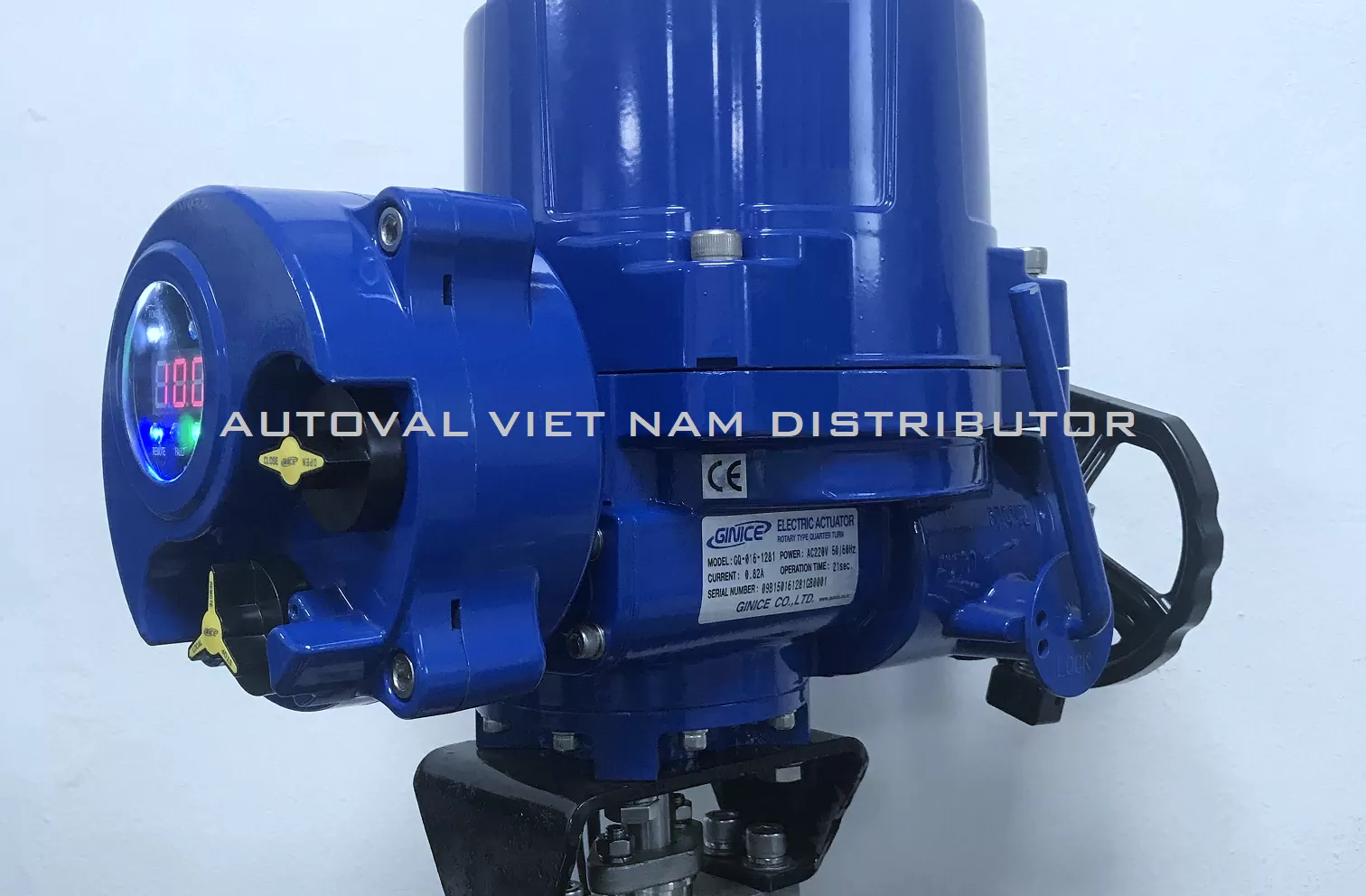 van-dien-ginice-han-quoc