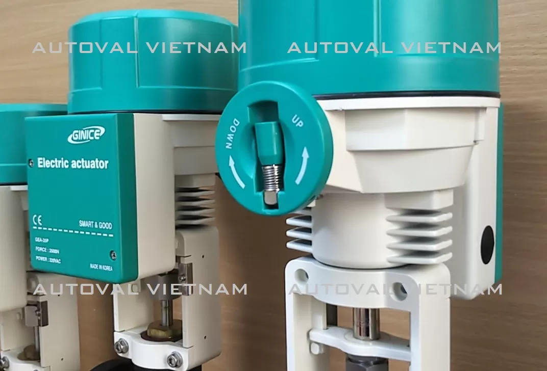 van-dien-ginice-han-quoc