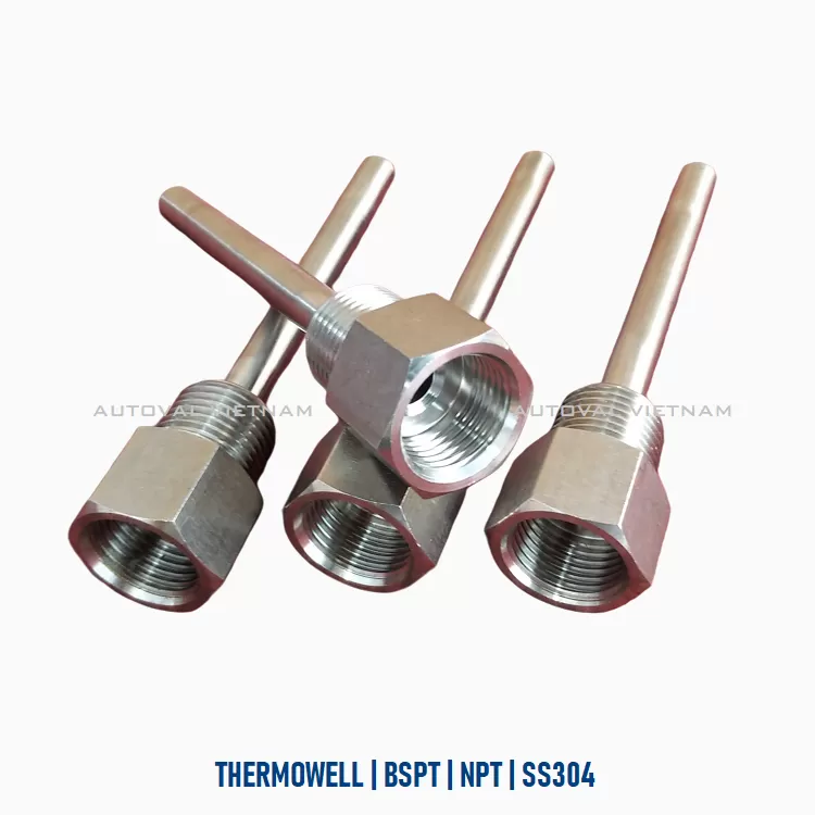 Ống bảo vệ nhiệt thermowell